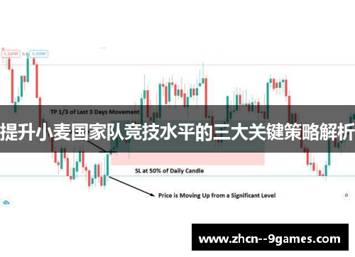 提升小麦国家队竞技水平的三大关键策略解析